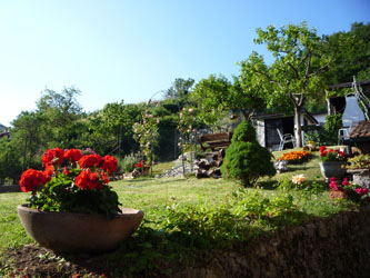 Il giardino- the garden