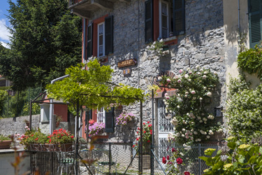 Tra il profumo dei fiori